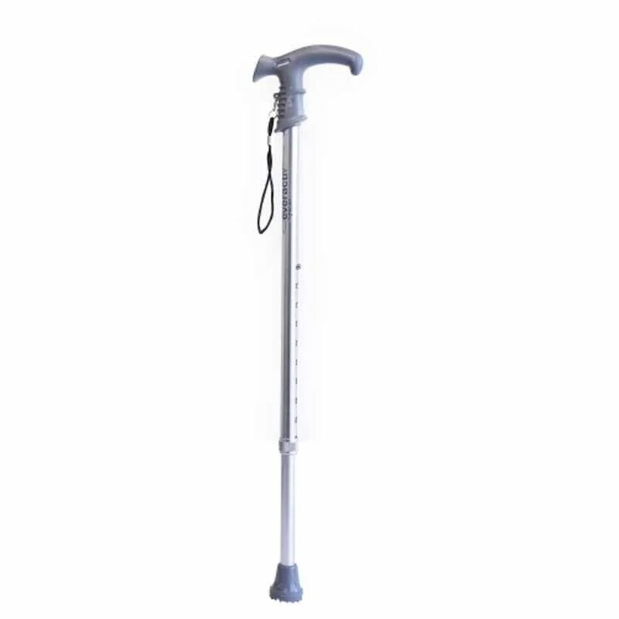 Walking Stick